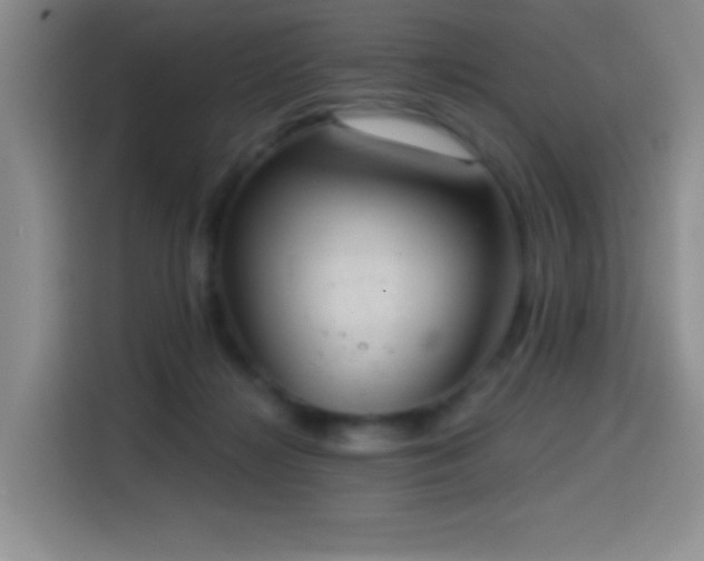 X0000114580268200910191529