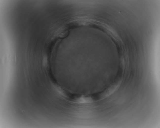 X0000114580270200910191529