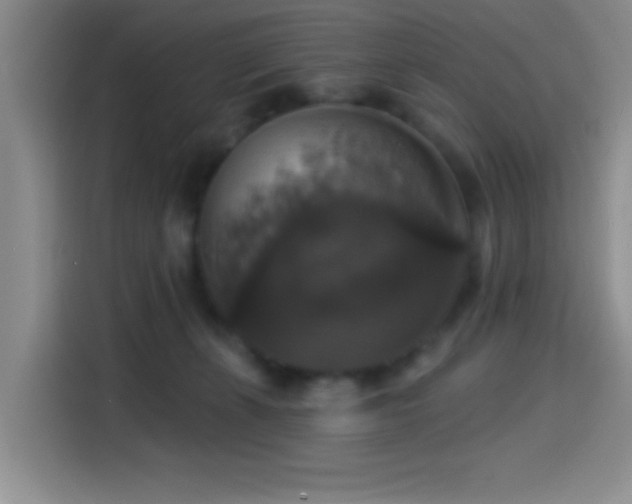 X0000114580271200910191529