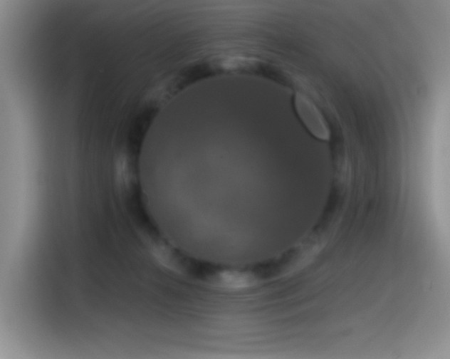 X0000114580272200910191529