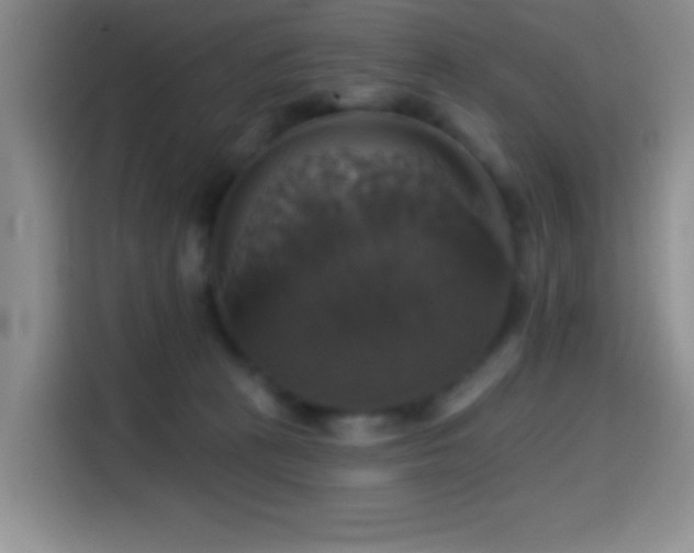 X0000114580273200910191529