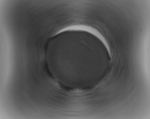 X0000114580276200910191529