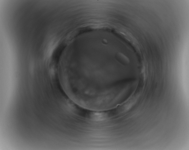 X0000114580277200910191529