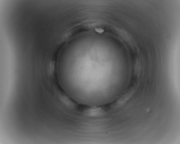 X0000114580278200910191529