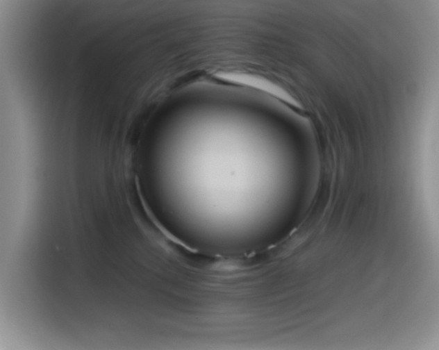 X0000114580280200910191529