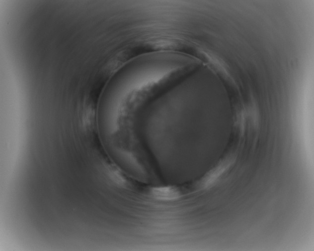 X0000114580281200910191529