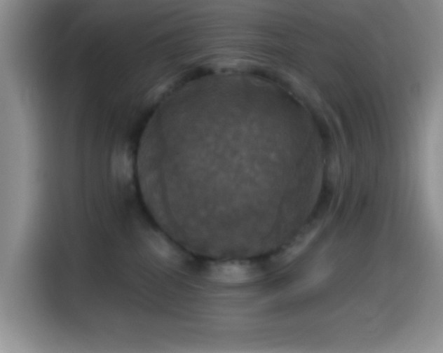 X0000114580282200910191529