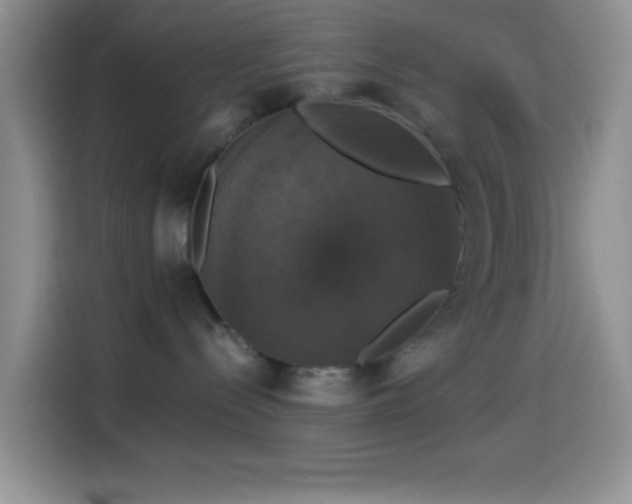 X0000114580288200910191529