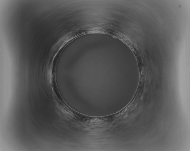 X0000114580290200910191529