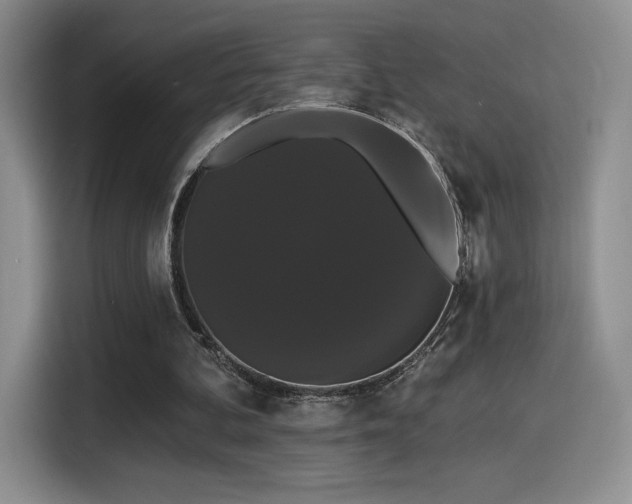 X0000114580292200910191529