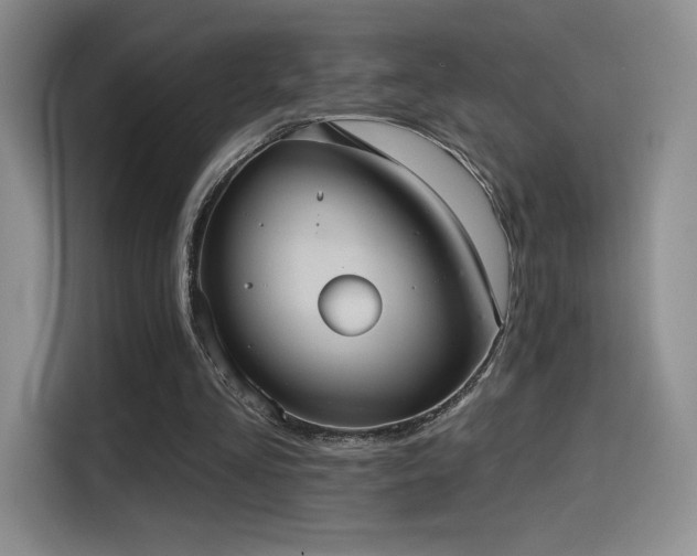 X0000114580293200910191529