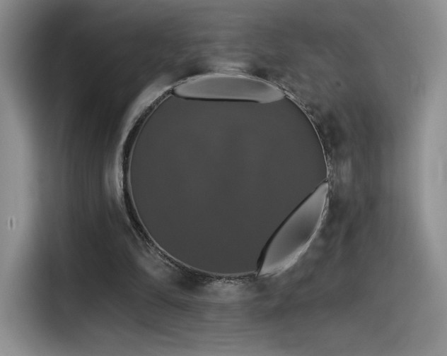 X0000114580294200910191529