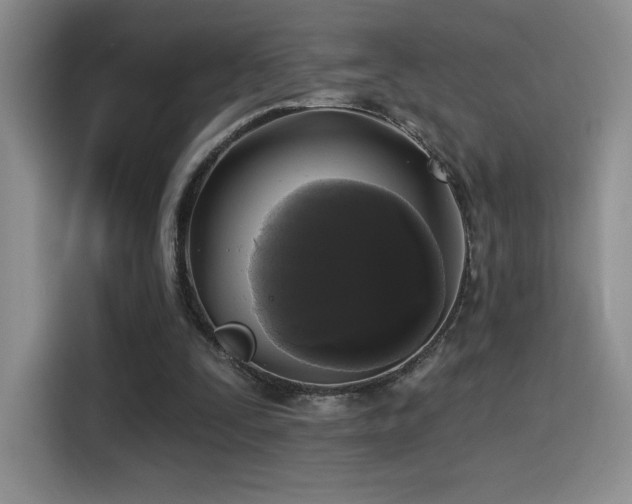 X0000114580295200910191529