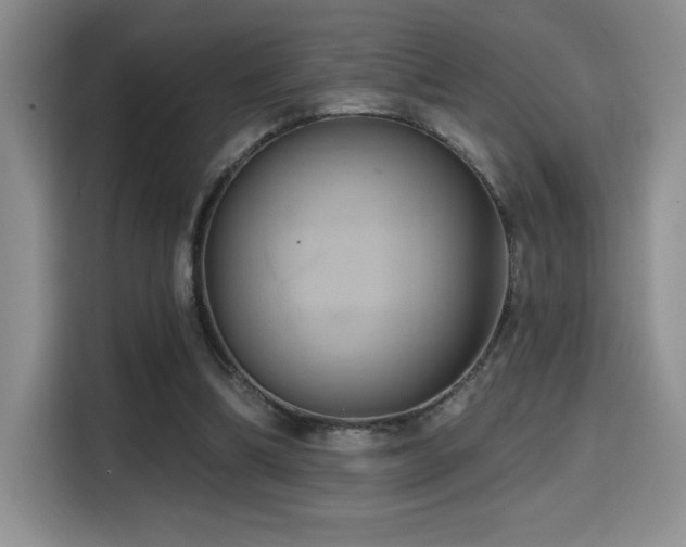 X0000114580298200910191529