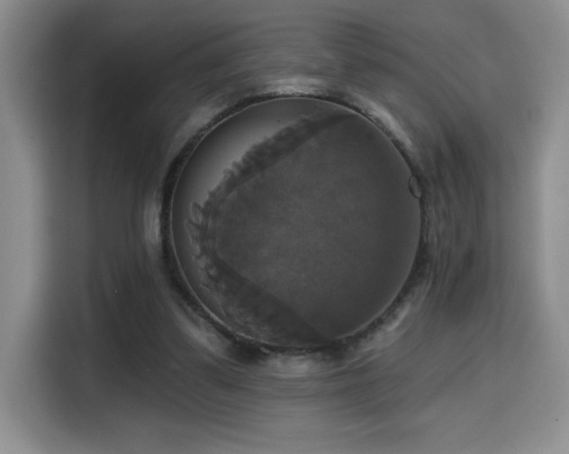 X0000114580299200910191529