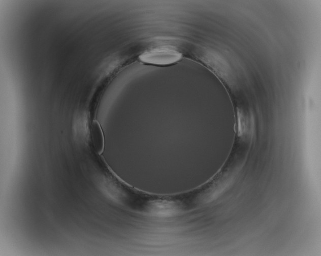 X0000114580300200910191528