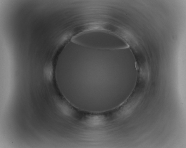 X0000114580304200910191528