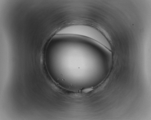 X0000114580305200910191528