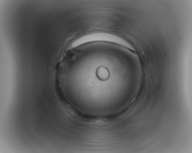 X0000114580308200910191528