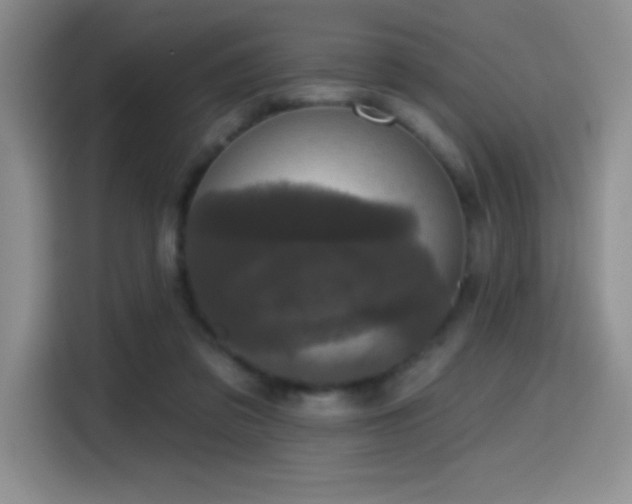 X0000114580309200910191528