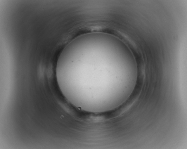 X0000114580311200910191528