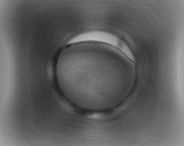 X0000114580312200910191528