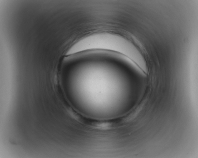 X0000114580313200910191528