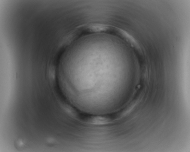 X0000114580315200910191528