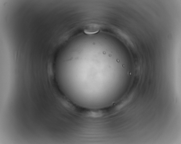 X0000114580317200910191528