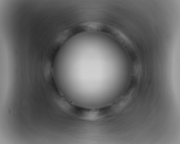 X0000114580318200910191528