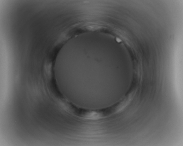 X0000114580319200910191528