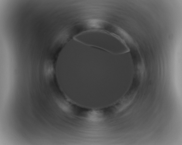 X0000114580320200910191528