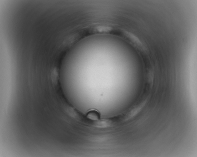 X0000114580321200910191528