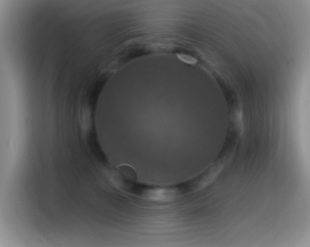 X0000114580323200910191528