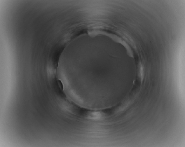 X0000114580324200910191528