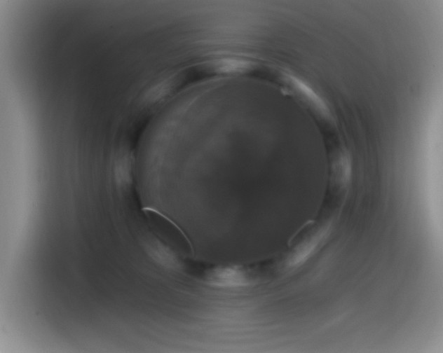 X0000114580325200910191528