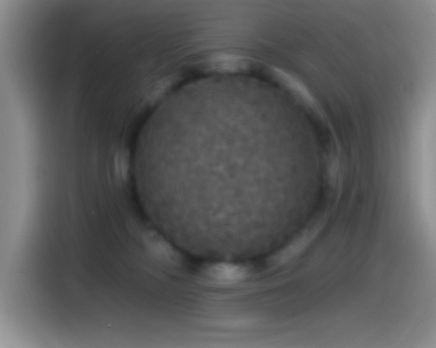 X0000114580326200910191528