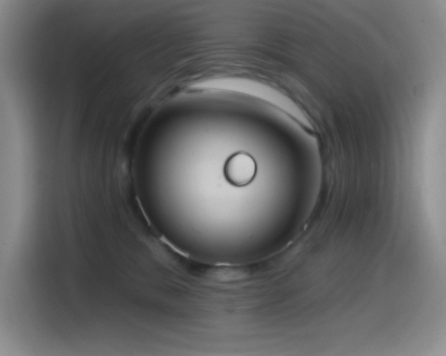 X0000114580327200910191528