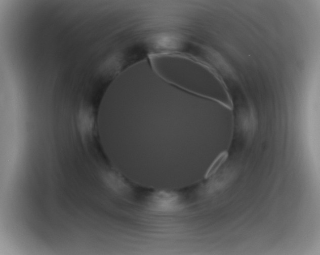 X0000114580328200910191528