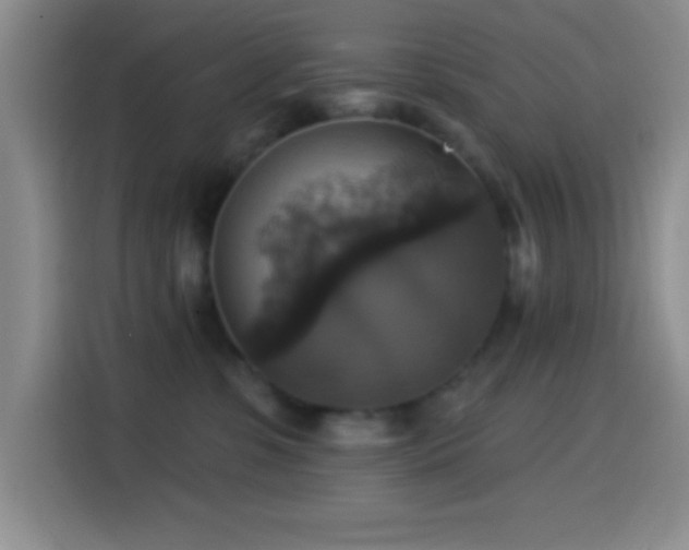 X0000114580331200910191528