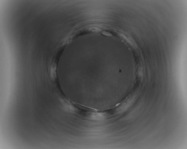 X0000114580332200910191528