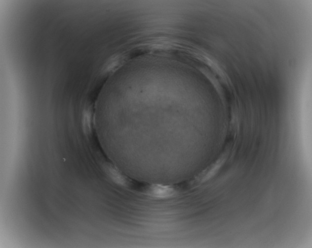 X0000114580333200910191528