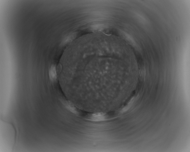 X0000114580335200910191528