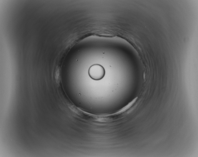 X0000114580336200910191528