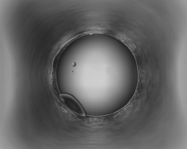 X0000114580338200910191527