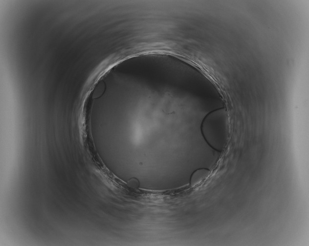 X0000114580339200910191527