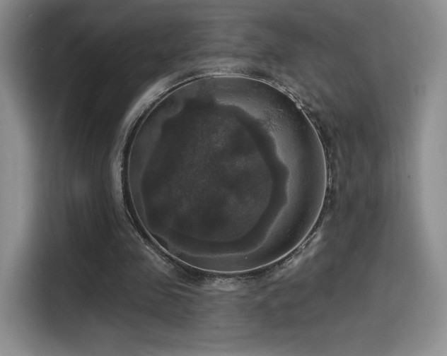 X0000114580341200910191527