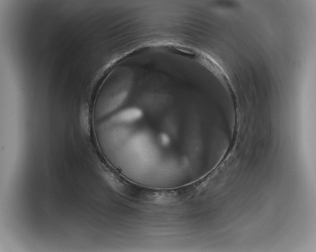 X0000114580345200910191527