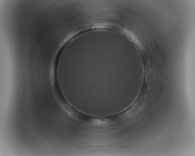 X0000114580346200910191528