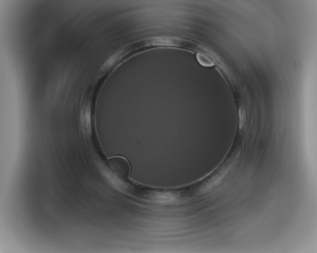 X0000114580349200910191528